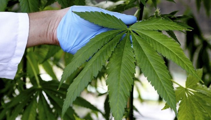 Така ще се отворят над 750 работни места Така ще се отворят над 750 работни места