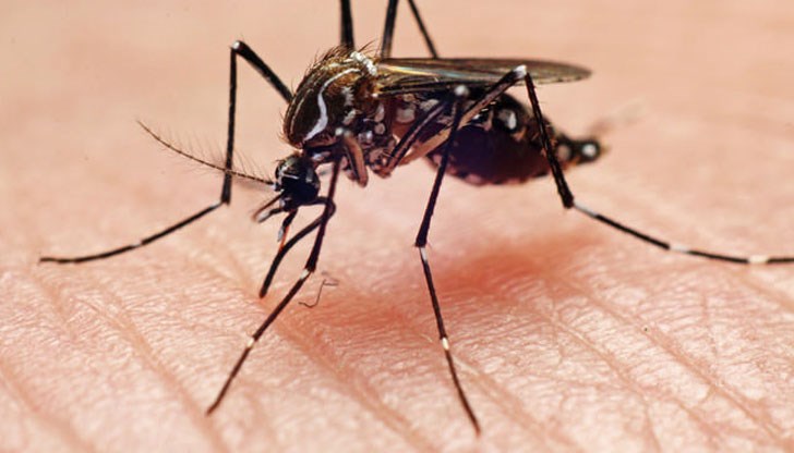 Тя има за цел да сведе до минимум заболяванията, пренасяни от комари