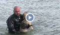 Полицай спаси куче от ледените води на езеро