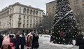 Руското посолство реагира на протеста срещу елхата от Москва