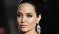 Анджелина Джоли може да влезе в политиката