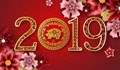 2019-а ще е година на Свинята
