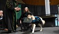 Куче получи почетна диплома за висше образование