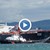 Сигнал от Либия до Бойко Борисов: Българската мафия краде 250-метров танкер под носа ви