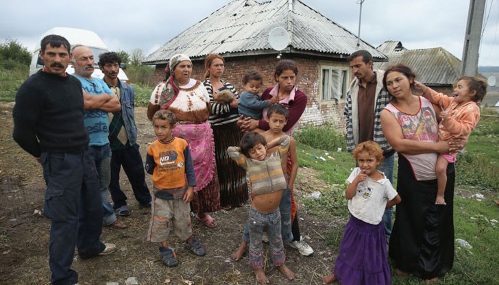 Търтеите в България станаха прекалено много, а това води до колапс на държавата Търтеите в България станаха прекалено много, а това води до колапс на държавата