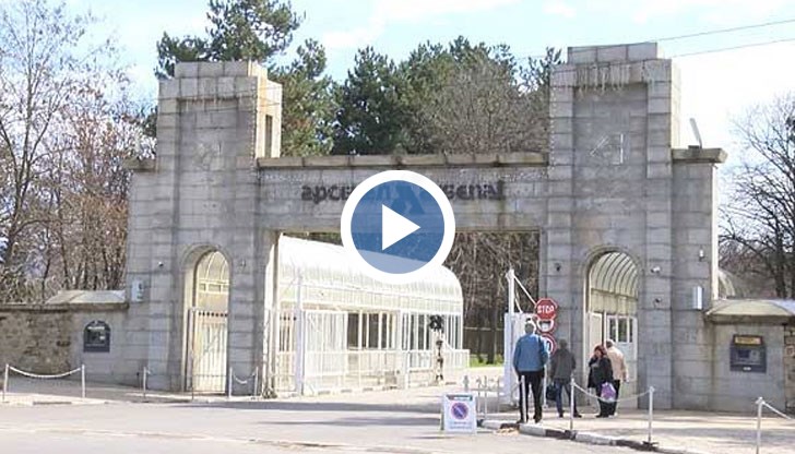 Според експерти е възможно да има „изтичане” на български боеприпаси към терористични организации