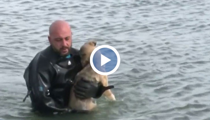 Трогателната история е от Турция