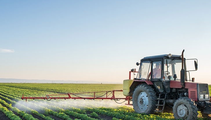 В Северна България, където количеството дъждове, почвата и влагата са много добри – Добрич и Силистра са с най-високи цени