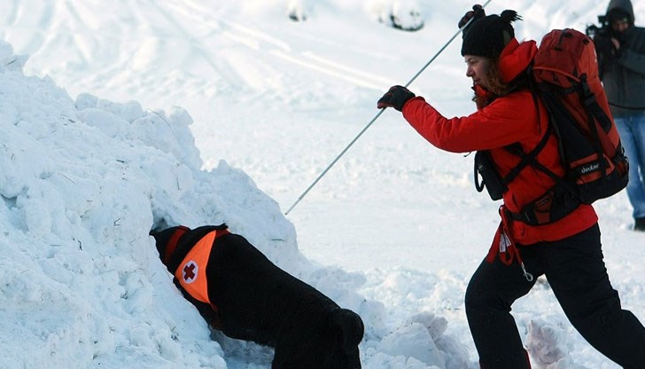 30 спасители с 3 кучета два дни търсиха мъжа 30 спасители с 3 кучета два дни търсиха мъжа