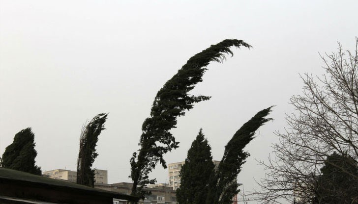 Застудяване и силен вятър ни очакват на Коледа Застудяване и силен вятър ни очакват на Коледа