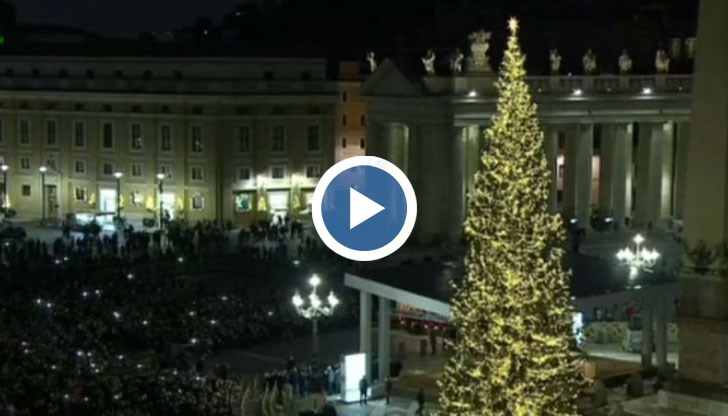 Коледните дръвчета са неотменна част от празниците в много страни по света