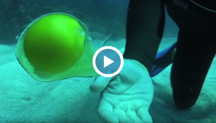 Бермудският институт за океански науки представя "Яйцето"