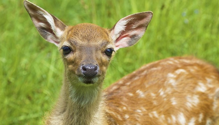 Дейвид Бери ще трябва да гледа анимацията поне веднъж месечно по време на едногодишната му присъда Дейвид Бери ще трябва да гледа анимацията поне веднъж месечно по време на едногодишната му присъда
