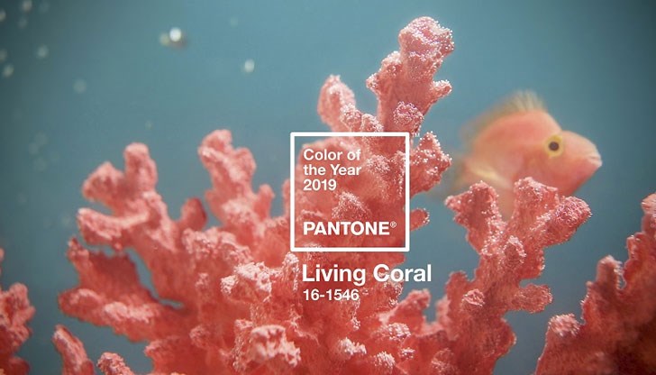 „Жив корал“ е цветът на 2019 г., според института Pantone