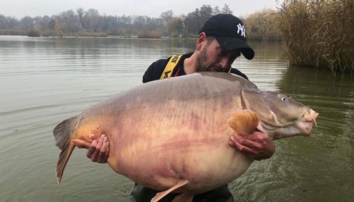 Водният обитател тежи цели 51 килограма