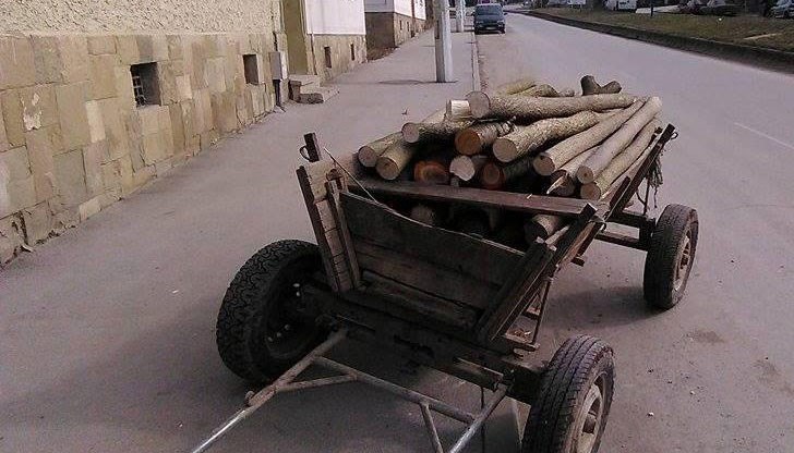 Спипаха два мъже за незаконна сеч на цер