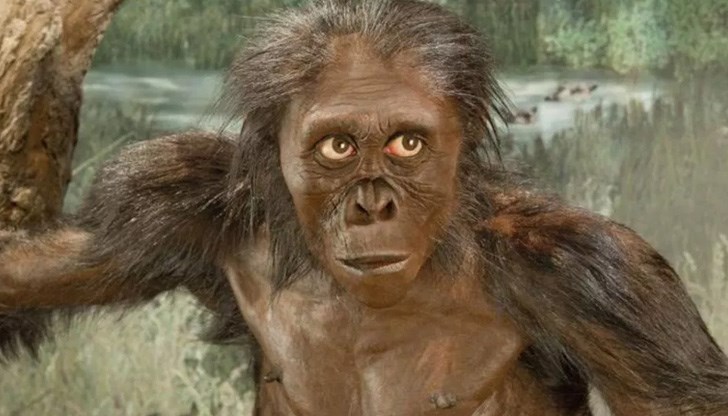 Досега се смяташе, че това се е случило в Азия