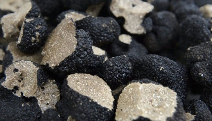 Цената на трюфелите е висока заради тяхната деликатност