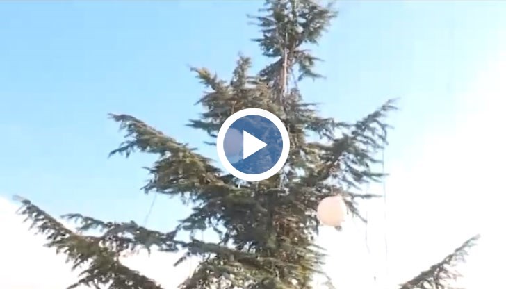 Лютият спор започнал в началото на декември