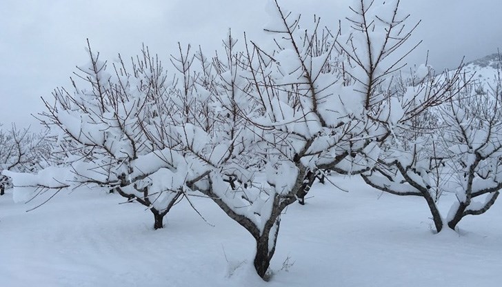 Спират автобусните линии, обслужващи района
