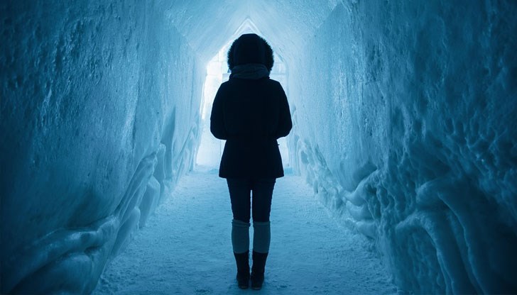 Учени откриха механизъм, чрез който ниската температура в средата, в която даден индивид се е установил, удължава живота му Учени откриха механизъм, чрез който ниската температура в средата, в която даден индивид се е установил, удължава живота му