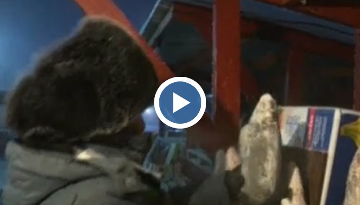 Продуктите, които се предлагат, са единствено риба и месо