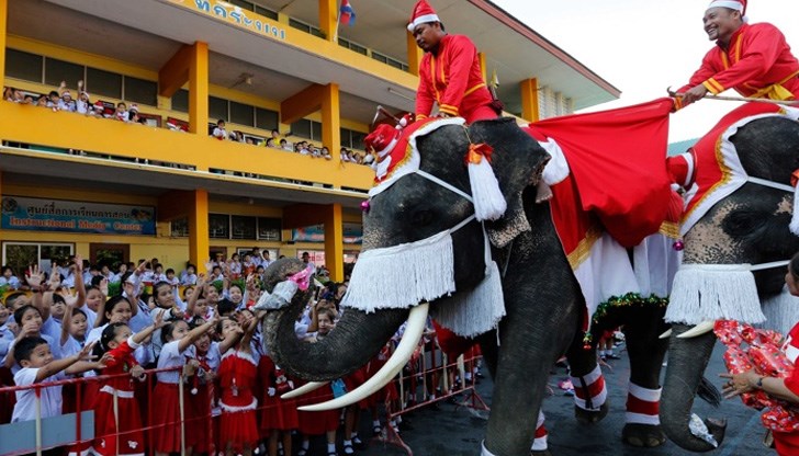 Слонът, облечен като Дядо Коледа, зарадва малки и големи
