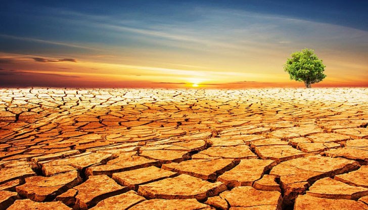 Много видове ще изчезнат, отбелязват експерти Много видове ще изчезнат, отбелязват експерти