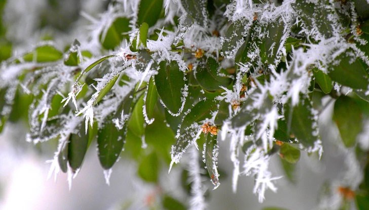 Повече валежи от сняг се очакват на 25 и 26 декември Повече валежи от сняг се очакват на 25 и 26 декември