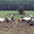 Тежка самолетна катастрофа в Германия