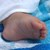 Дете на годинка почина от вирусна инфекция в Плевен