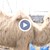 Камилата Бейби е новото попълнение на зоопарка в Бургас