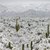 Сняг покри пустинята в Аризона