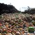 670 тона негодна храна се изхвърля в България годишно