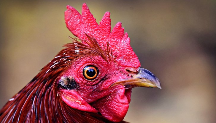 Поверия за празника Поверия за празника