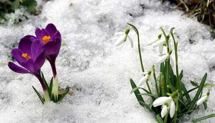 Месечна прогноза за втория месец от годината Месечна прогноза за втория месец от годината
