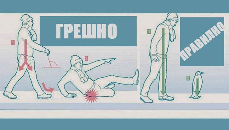 Расте броят на потрошените русенци