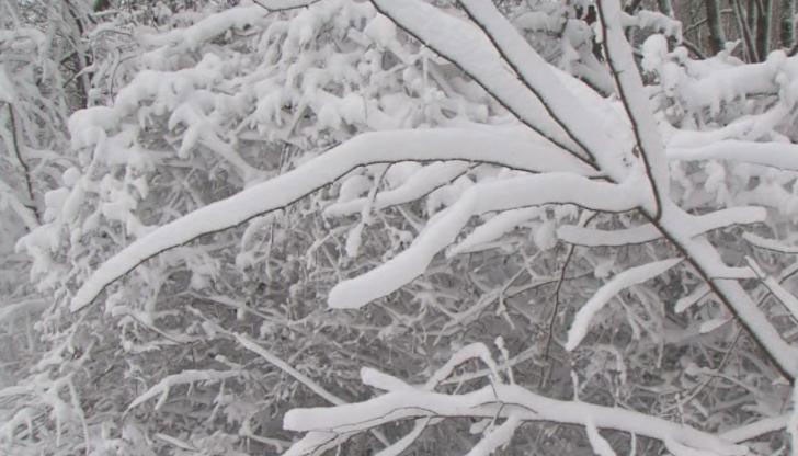 До вечерта валежите ще обхванат и Източна България