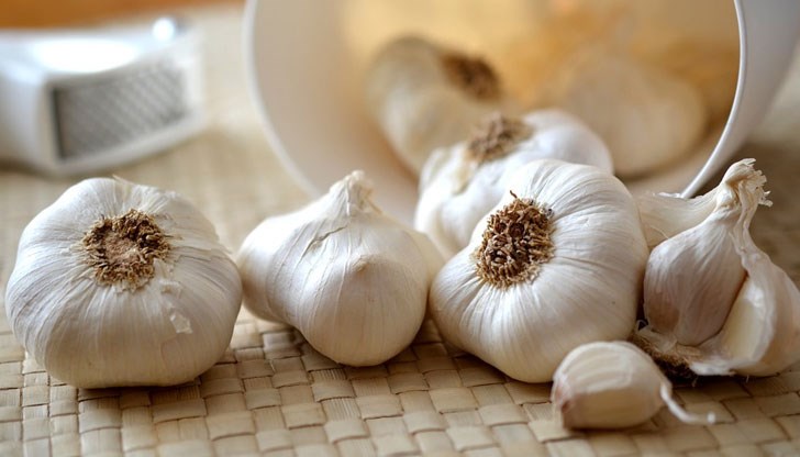 Освен много вкусен за различни ястия и салати, чесънът е великолепен за здравето ни Освен много вкусен за различни ястия и салати, чесънът е великолепен за здравето ни