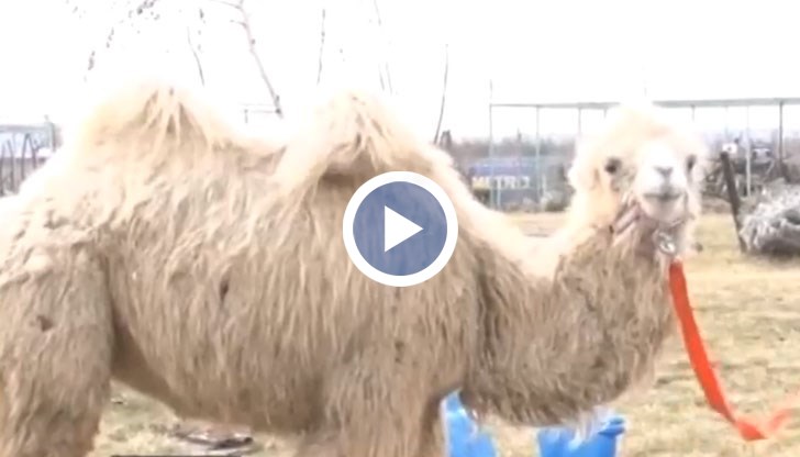 Тя е само на  9 месеца