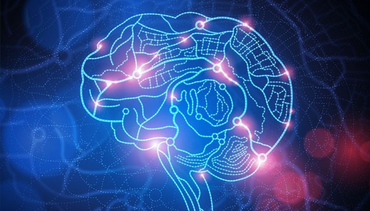 "Теория на хилядите мозъци" предполага, че ние не формираме единен комплексен модел на света, а постоянно синхронизираме работата на много отделни модели