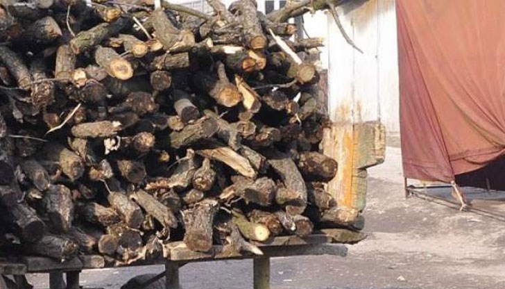 И двамата не са имали редовно писмено позволително за сеч и превозен билет И двамата не са имали редовно писмено позволително за сеч и превозен билет