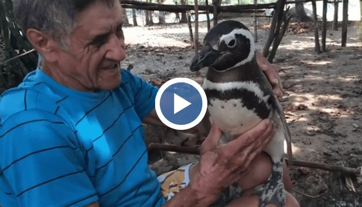 Жоао спасява Диндим през 2011 година и от тогава той всяка година се връща при него