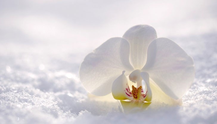 Прогноза за времето на 17 януари Прогноза за времето на 17 януари