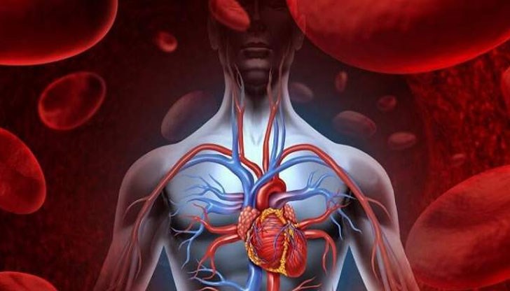 Открития за човешката анатомия вече се правят много рядко