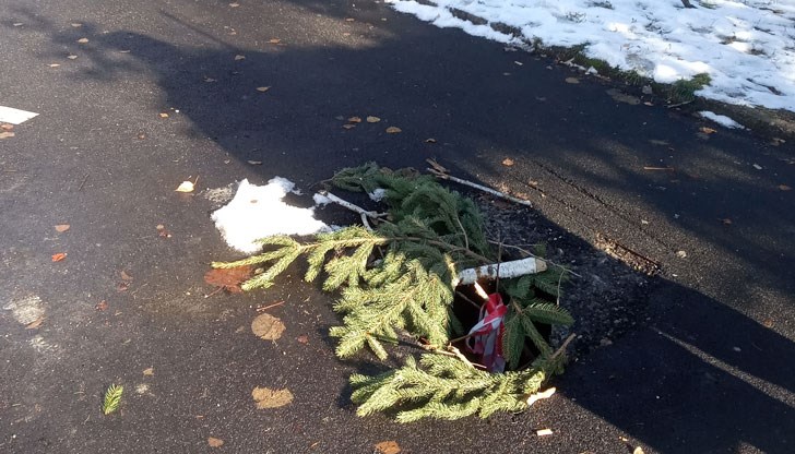 Нямат ли срам управниците?