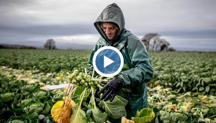 Да си източноевропеец във Великобритания