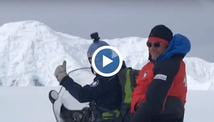 Тя е с безцветна кръв