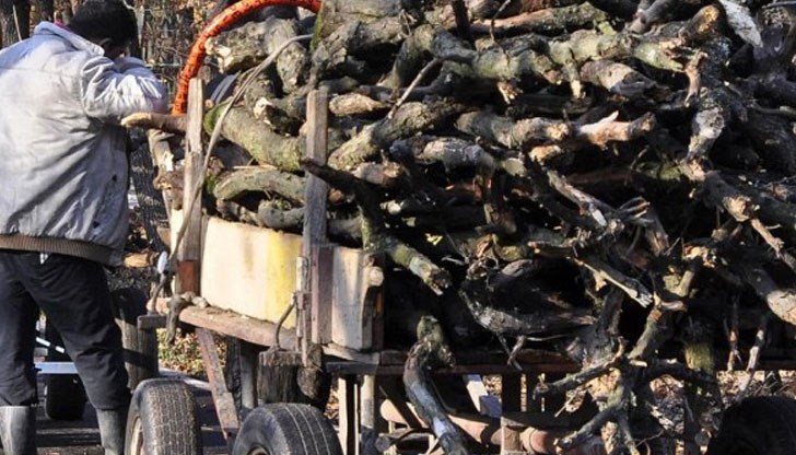 Стойността на дървесината е на обща стойност за около 180 лева / Снимката е илюстративна Стойността на дървесината е на обща стойност за около 180 лева / Снимката е илюстративна