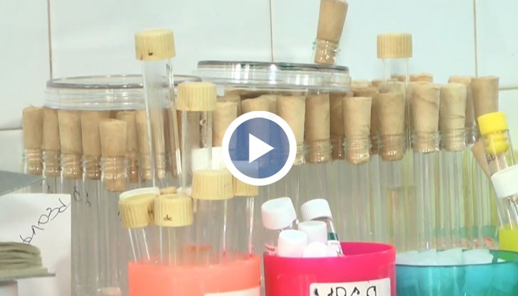 Приканват се уязвимите групи да си направят бърз тест за грип